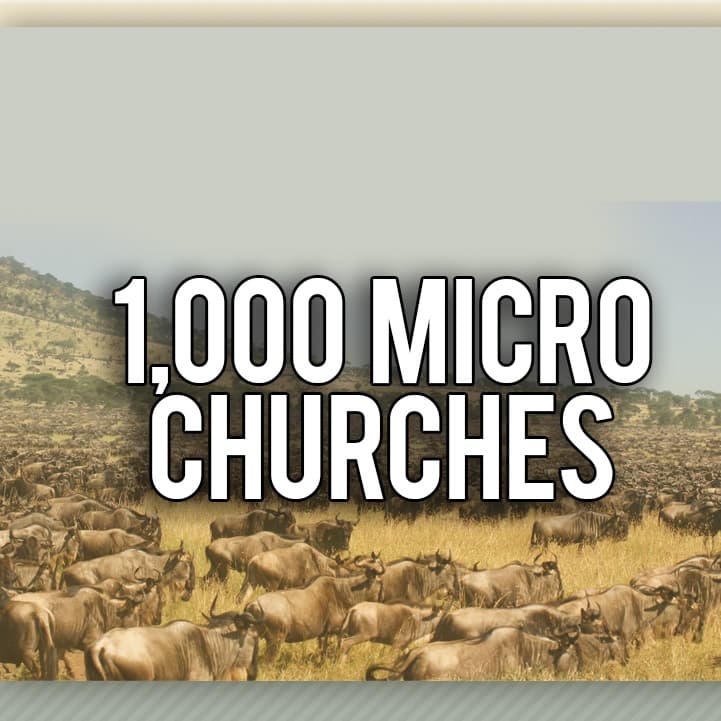 1000 Micro Churches