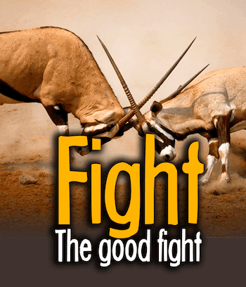 Fight The Good Fight