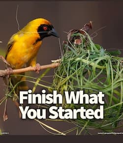 Finish What You Started
