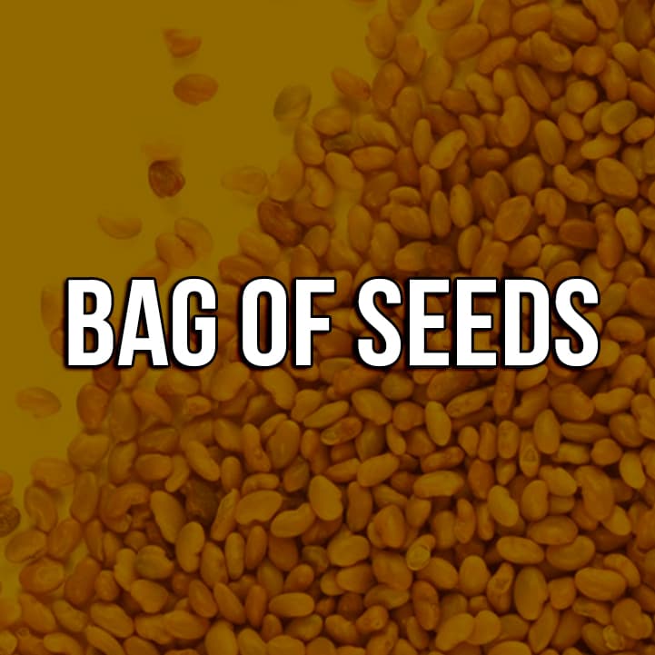 The Bag of Seeds