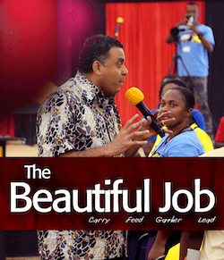 The Beautiful Job